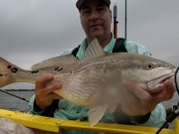 28" Redfish on 20240416